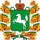 Аватар Телеграм канала: Народный НЕ Губернатор