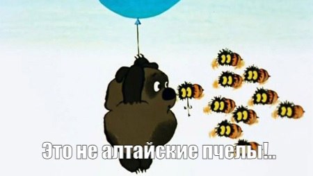 95% алтайского меда производится не на Алтае – Россельхознадзор В службе проанализировали производство 36 российских продуктов с географическим указанием. Оказалось, к примеру, алтайский мед в стране производят 348 компаний в 58 регионах! 95% меда произведено за границами Республики Алтай. Об этом заявила советник руководителя Россельхознадзора Елена Цветкова. Такая же картина, по ее словам, прослеживается и с известным адыгейским сыром. Согласно географическим условиям регистрации, продукт должен быть изготовлен из молока "с предгорий Большого Кавказа". Однако только 26 производителей из 218 находятся в Адыгее. Остальное молоко оказалось из Белгорода, Воронежа, Татарстана и других регионов.