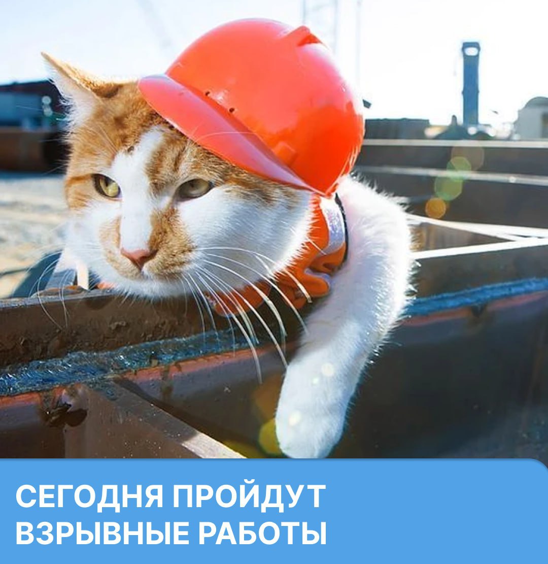 Сегодня на месторождении Торгашинское пройдут взрывные работы с 12 00 до 17 00 Радиус опасной зоны составляет 550 метров В зоне проведения работ будут подаваться предупредительные звуковые сигналы