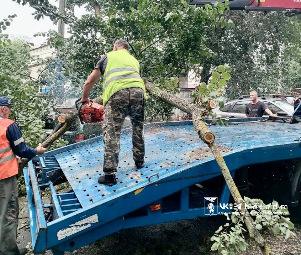 Коммунальщики убрали дерево на ул. Первомайской Оно упало из-за сильного ветра во дворе одного из многоквартирных домов. Предварительно, повреждено 4 автомобиля. На место оперативно выехала бригада Белгорблагоустройства. На данный момент работы практически завершены. Синоптики предупреждают, к обеду ветер усилится, его порывы будут достигать 13 м/с. Просим соблюдать меры безопасности, не парковать машины под деревьями и рекламными щитами!