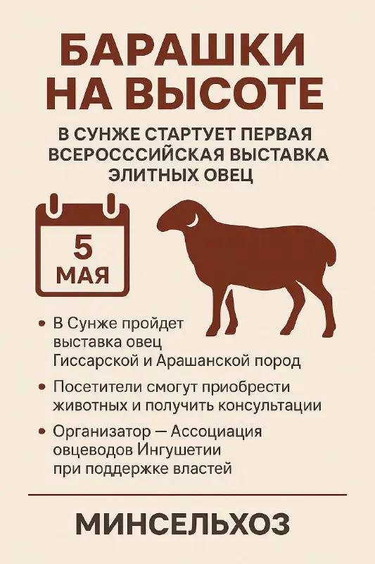 В Ингушетии впервые состоится выставка овец элитных пород На скотном рынке в городе Сунжа 5 мая пройдет Всероссийская выставка овец элитных пород. Жителям региона предоставляется возможность стать не просто зрителями, но и участниками события, сообщили газете «Ингушетия» в пресс-службе министерства сельского хозяйства республики. Организатором мероприятия выступила Ассоциация овцеводов Ингушетии при поддержке правительства и регионального Минсельхоза. Посетители смогут узнать больше о содержании животных и приобрести их для своего хозяйства. Также будут проводиться консультации от ведущих специалистов по разведению мелкого рогатого скота, что будет особенно полезно для фермеров, занимающихся животноводством. В аграрном ведомстве республики считают, что это хорошая возможность продемонстрировать достижения селекционеров и продвигать породы, адаптированные к горным условиям Кавказа. Овцы породы Арашан, которые будут представлены на выставке, отличаются выносливостью, они прекрасно приспособлены к содержанию в условиях высокогорья. Гиссарские овцы имеют древнее происхождение. Порода создавалась еще в XIII — XIV веках усилиями ряда поколений людей, населяющих Таджикистан. Свое название гиссарская овца получила по местности, где ее разводили — «Хисар» и откуда пригоняли отары этих овец на рынки городов Бухары, Самарканда и других. ПОДПИСАТЬСЯ ПРЕДЛОЖИТЬ НОВОСТЬ
