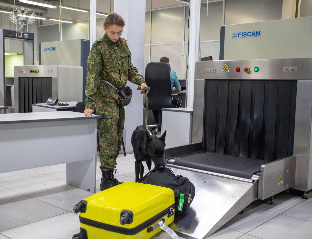 Более 200 рейсов в Китай оформили сибирские таможенники за 2 месяца После отмены визового режима с КНР с 15 сентября по 10 ноября 2025 года таможенники оформили 205 рейсов Это на 16 больше чем за такой же период прошлого года Самое интенсивное авиасообщение с Китаем в 2025 году осуществляется из международного аэропорта Иркутска За последние 2 месяца иркутские таможенники провели таможенный контроль ручной клади и багажа пассажиров 71 авиарейса что на 20 больше чем за аналогичный период 2024 года На 2 месте среди международных авиаузлов Сибири за этот период аэропорты Красноярска 68 рейсов и Новосибирска 66 авиарейсов Воздушное сообщение из СФО осуществляется с китайскими городами Санья Харбин Пекин и Манчжурия В конце 2024 года появилось новое направление в Шанхай из Иркутска За указанный период в Китай прямыми рейсами из Сибири вылетели более 30 тыс сибиряков Это почти на 40 больше чем за такой же период прошлого года СТУ ФТС России в MAX