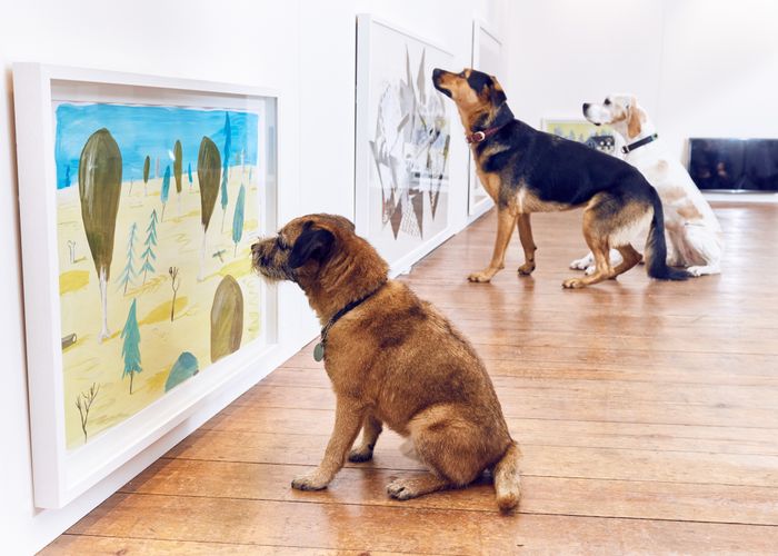 В музей теперь можно с собакой Как сообщили в столичном департаменте культуры в пилотную программу вошли пять музеев в них также появятся специальные зоны для питомцев