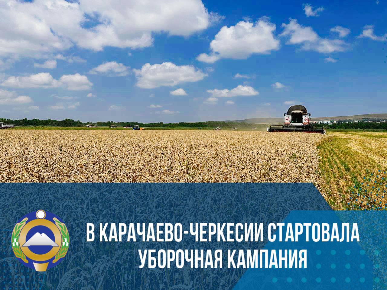 Сельхозпроизводители КЧР приступили к сбору урожая озимых культур ⏩В этом году под них отведено 17,25 тыс. га посевных площадей. Хозяйства Адыге-Хабльского, Прикубанского и Ногайского районов уже начали уборку. Собрано 700 га озимого ячменя с урожайностью 35 центнеров с гектара. Всего же предстоит убрать 125 тыс. га сельхозугодий, включая посевы зерновых колосовых и технических культур. «Полевые работы проходят в штатном режиме. Погода нашим труженикам благоволит. Да и сами аграрии настроены оптимистично: по предварительным оценкам, урожайность в этом году превзойдет прошлогодние показатели», — отметил Глава Карачаево-Черкесии Рашид Темрезов в своем тг-канале.