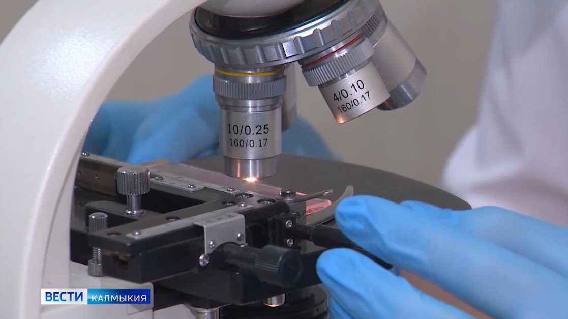 Академик РАН Геннадий Онищенко связал появление оспы обезьян в России с недостатком солнечного света Он пояснил что ультрафиолет является природным дезинфектантом а естественный очаг распространения инфекции находится в Западной Африке Ранее в Петербурге зарегистрировали два лабораторно подтверждённых случая заболевания у пациентов вернувшихся из Таиланда Быть в курсе Прислать новость Также подписывайтесь на наш новостной канал в MAX Вести Калмыкия