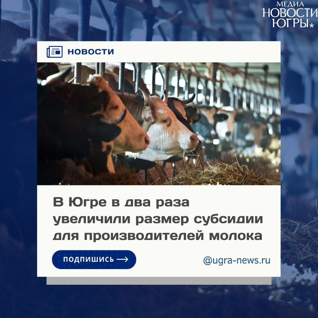 Правительство Югры усиливает поддержку сельхозпроизводителей На заседании правительства Югры под председательством главы региона Руслана Кухарука внесены изменения в документ, касающийся мер по реализации госпрограммы автономного округа «Развитие агропромышленного комплекса». Изменения уточняют порядок предоставления субсидий на благоустройство сельских территорий и улучшение жилищных условий сельчан. Также вносятся изменения в условия их предоставления: теперь необходим перечень мероприятий с расходными обязательствами. Кроме того, в два раза увеличивается размер ставки субсидии для производителей молочной продукции, работающих в муниципалитетах региона, не входящих в Арктическую зону. «С 2010 года эта ставка не пересматривалась. Изменения будут распространены на правоотношения с 1 января 2025 года. В законе о бюджете округа средства на эти цели предусмотрены», — отметил директор департамента промышленности Югры Виктор Гамузов. Подробнее читайте тут!