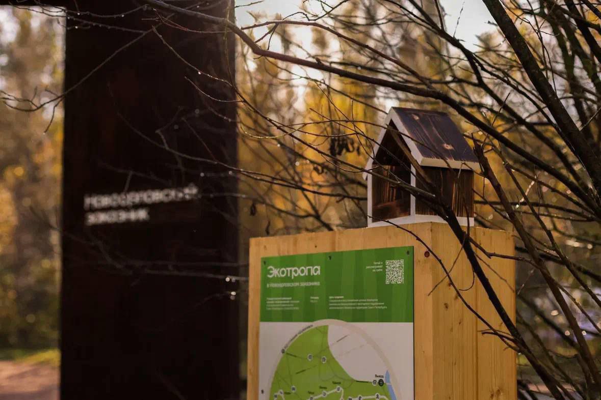 По итогам 2025 года число посетителей экологических троп Ленинградской области может достичь 1 5 млн человек Это на 500 тысяч больше чем было в прошлом году Сегодня на территории региона создана 51 экологическая тропа общая протяженность которых составляет более 430 км Заместитель председателя Ленинградского областного отделения Всероссийского общества охраны природы Наталья Калягина рассказала на онлайн конференции Экологический контроль и экопросвещение новые вызовы и возможности что в ближайшей перспективе в Ленинградской области планируют открыть еще шесть экологических троп   Протяженность одной из них Большой Ладожской тропы составит от 800 до 1500 км Маршрут пройдет вокруг всего Ладожского озера но будет организован так чтобы минимальным образом воздействовать на экосистему местности В первую очередь он будет предназначен для велосипедистов На территории тропы Саблинский водопад планируют создать небольшой геопарк где посетители смогут узнать о магматических горных породах Ленинградской области Наталья Калягина На каждом маршруте мы создаем много информационных объектов ведь одна из целей проекта Тропа 47 это экопросвещение Это не только стенды но и инсектариумы возможности дополненной реальности QR коды перейдя по которым можно увидеть и услышать обитателей заказника Поэтому экотропы это хороший портал для экопросвещения наших туристов Читайте подробнее