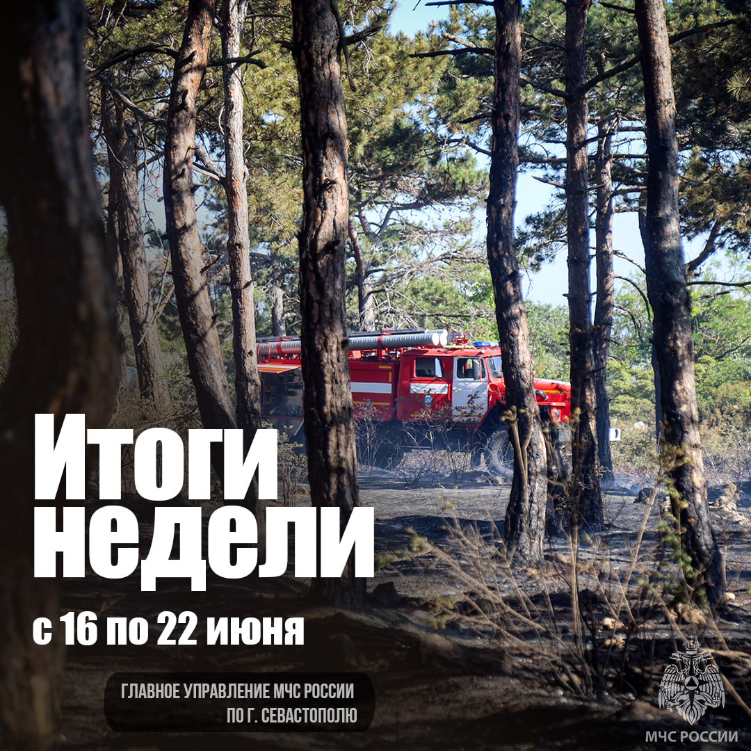  Работа МЧС России по городу Севастополю в цифрах и фактах На прошедшей неделе подразделения Главного управления МЧС России по Севастополю совершили 176 боевых выездов. На территории региона в этот период ликвидировано 37 пожаров. От дыма и огня никто не пострадал. 16 раз сотрудники чрезвычайного ведомства реагировали на сообщения о дорожно-транспортных происшествиях. В результате этих ДТП пострадали 7 человек. В горно-лесной местности 1 происшествие. Спасён 1 гражданин. В акватории региона без происшествий. Пиротехники МЧС России по Севастополю обнаружили 15 взрывоопасных предметов времён Великой Отечественной войны. Это 12 артснарядов и 3 мины. Все находки уничтожены путём контролируемого подрыва. МЧС Севастополя Подписаться