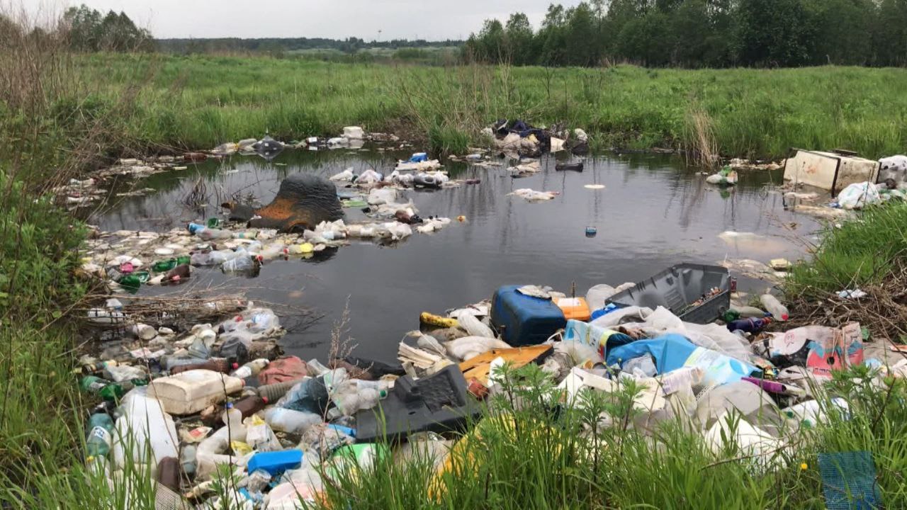 В лесах и полях на северо-востоке Костромской области нашли кучу свалок.  В Шарьинском районе ликвидировали 6 стихийных свалок. Общий объём отходов, вывезенных из леса составляет практически 600 кубометров.  Это примерно 22 заполненных большегруза, один рейс которого обходится в 20 тысяч рублей. То есть, в год районный бюджет тратит практически полмиллиона на то, чтобы устранить беспорядок, который устраивают недобросовестные граждане.   Причём, хлам бросают не только в лесу, но и в полях, сельско-хозяйственных угодьях.  Один из последних случаев захламления территории зафиксирован недалеко от деревни Филино. Власти направили региональному оператору заявку на вывоз оттуда мусора и обратились в полицию с просьбой провести расследование, установить и привлечь к ответственности организаторов несанкционированной свалки.   Пока виновные неизвестны, оплачивать расходы по уборке мусорных куч за деревней, к сожалению, предстоит муниципалитету.   Сообщает газета «Ветлужский край».