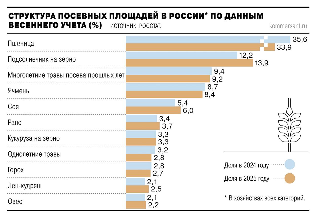 МНЕНИЕ Валовой сбор зерновых и зернобобовых культур в России в текущем сельскохозяйственном году с июля 2025 по июнь 2026 года может вырасти до 132 4 млн тонн увеличившись на 6 1 г г прогноз ЦЦИ Ъ     smartlab news i 161742