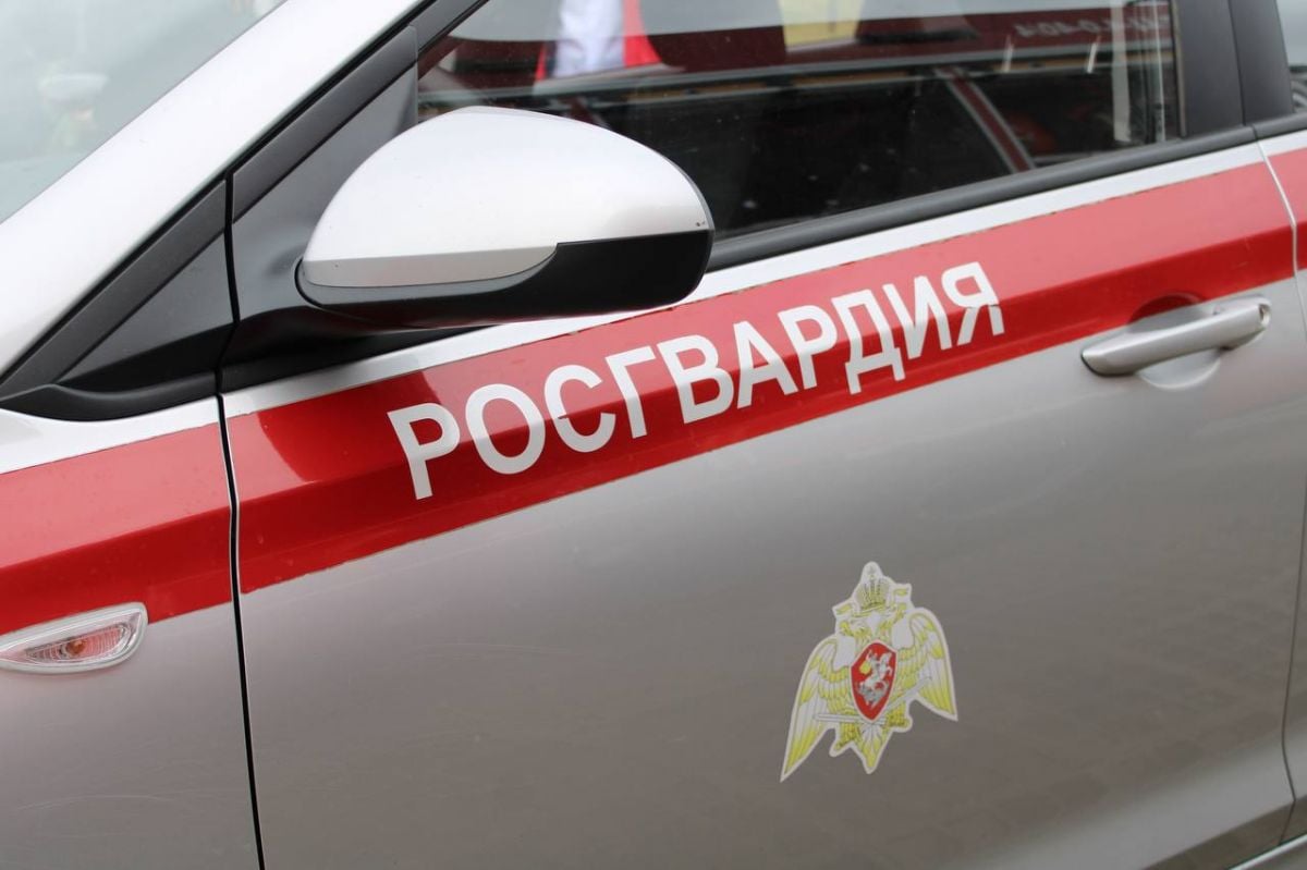 В Ивановской области задержат фиктивных преступников в рамках тактико-специальных учений В рамках учений запланирована имитация спецоперации по обнаружению и задержанию фиктивных преступников. В операции будет применяться специализированная техника, в том числе авиация. ↗ Прислать новость Подписаться