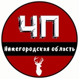 Аватар Телеграм канала: ЧП Нижний Новгород и Нижегородская область