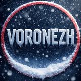 Аватар Телеграм канала: Воронеж❗️