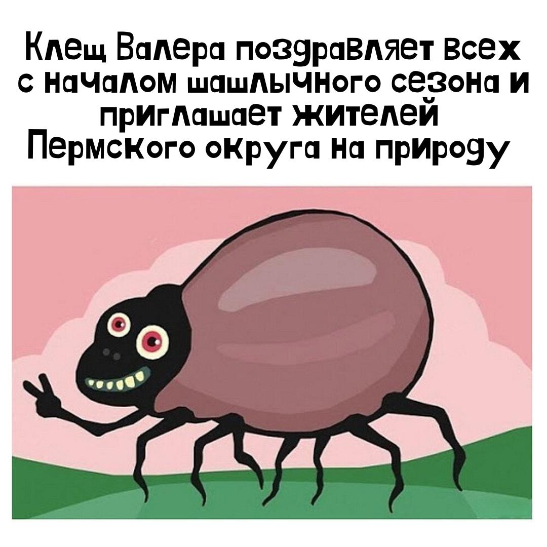 Медики опубликовали статистику о том, что чаще всего в Прикамье от присасывания клещей страдают жители Пермского округа – в 17% всех случаев, что почти в 2 раза превышает среднекраевой показатель на душу населения! Вполне очевидно, что здесь что-то не так. Ходят слухи, что сейчас это феномен изучают местные ученые. Говорят, что дело в особой атмосфере района, которая обогащает кровь кислородом, что делает ее очень привлекательной для клещей. Но не исключены также факторы питания и микроэлементов, содержащихся в местной воде. Итоги исследования мы обязательно опубликуем в нашем канале. Ведь по ходу изучения пермского клещевого феномена могут появиться и другие любопытные открытия.