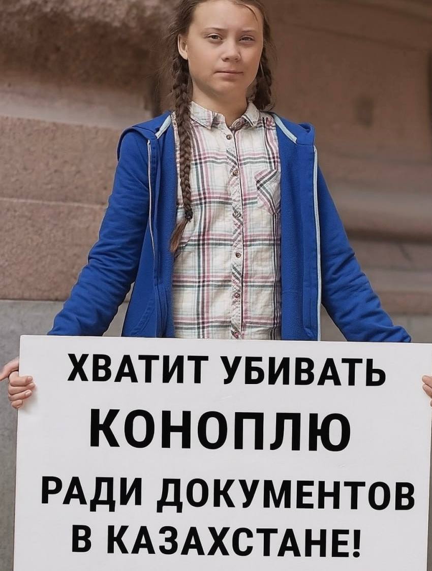 В Казахстане будут делать бумагу из конопли — для паспортов, удостоверений и других защищённых документов. Об этом сообщили в Минсельхозе. Пока производство не запущено: инвестор выбирает землю и технологии. Выращивать техническую коноплю планируют в СКО, использовать будут только разрешённые сорта с низким содержанием ТГК. Готовую продукцию ориентируют на экспорт, но и для нужд страны она пригодится — в том числе для выпуска документов. Закон о легализации промышленной конопли был подписан 30 июня.