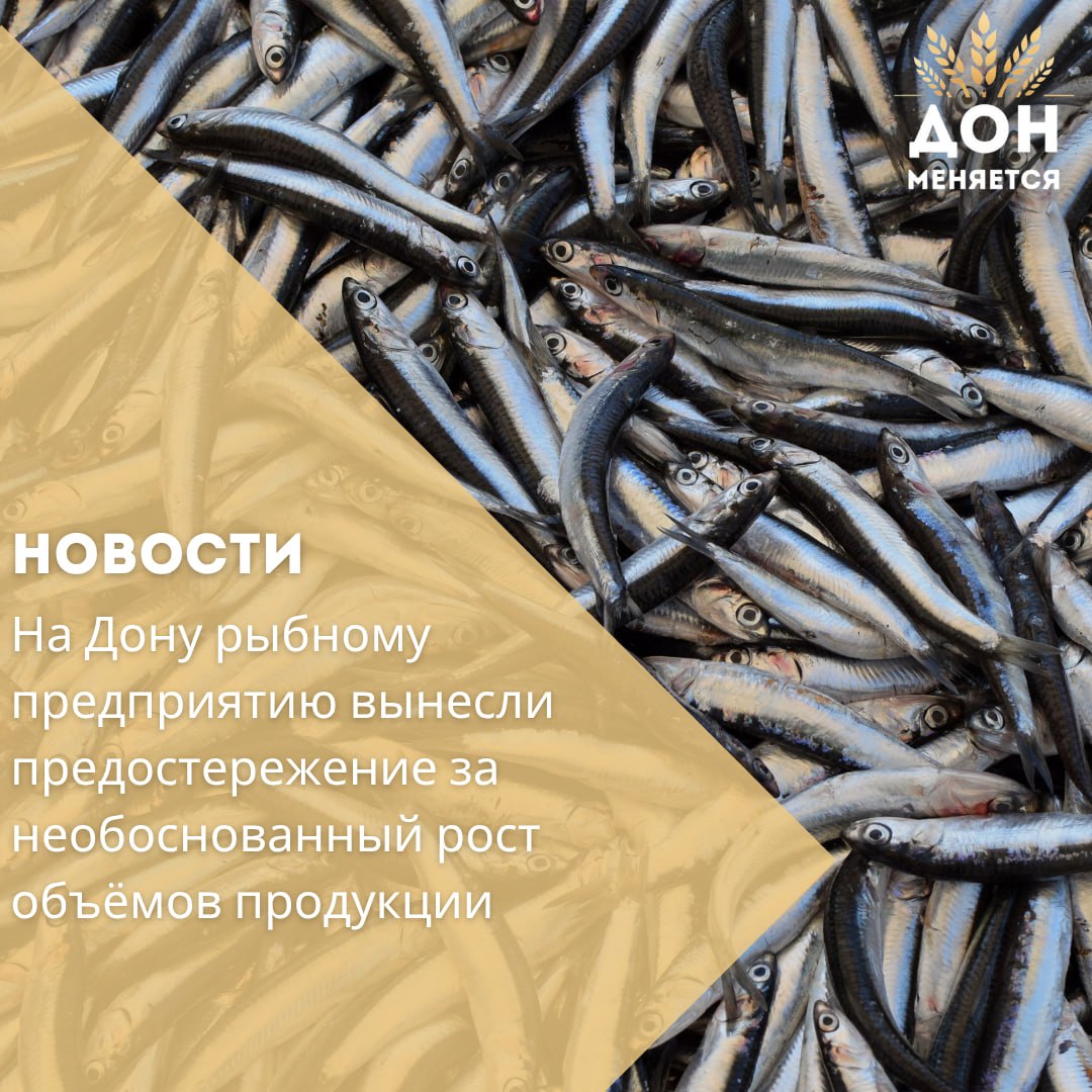 В Ростовской области сотрудники Россельхознадзора выявили нарушение на одном из рыбных предприятий. По данным ведомства, из 35 кг мороженой глазированной кильки на производстве каким-то образом было получено 250 кг готового продукта. Такая несостыковка в объёмах вызвала вопросы у специалистов. В результате предпринимателю было объявлено официальное предостережение, а ветеринарно-сопроводительные документы на продукцию аннулированы.