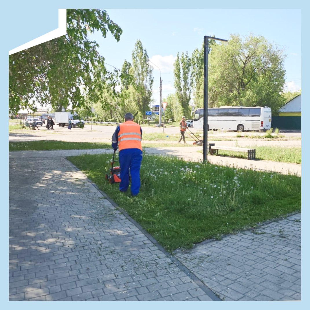 В Железнодорожном районе продолжаются работы по восстановлению газонов и уходу за ними Районный комбинат благоустройства выполняет посев, полив и покос травы. Для восстановления утративших привлекательный вид газонов на Ленинском проспекте от остановки «Димитрова» до остановки «Серафимовича» использовали метод гидропосева. На участках, где посев произвели в первых числах мая, начала появляться молодая трава. Отметим, что и заново высаженные, и существующие газоны ежедневно поливаются в утренние часы. Кроме того, для приведения озелененных зон в надлежащее состояние проводится и покос травы. Комбинат благоустройства на днях выполнил работы в «Усманском» сквере и в настоящее время работает на бульваре «Димитрова».
