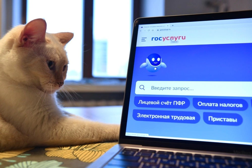 Электронное свидетельство пенсионера теперь можно получить на Госуслугах На портале заработала жизненная ситуация Выход на пенсию которая позволяет оформить электронное свидетельство пенсионера рассказали в аппарате вице премьера главы Аппарата Правительства Дмитрия Григоренко Такой документ можно использовать для подтверждения статуса пенсионера получения льгот и скидок например в аптеках и музеях Сервисом уже воспользовались более 500 тысяч россиян Всего каталог жизненных ситуаций на портале Госуслуг включает более 40 видов До конца 2025 года их количество вырастет до 70 rg ru 2025 12 02 elektronnoe svidetelstvo pensionera teper mozhno poluchit na gosuslugah html tgm Подписаться на Российскую газету в Читать нас в MAX