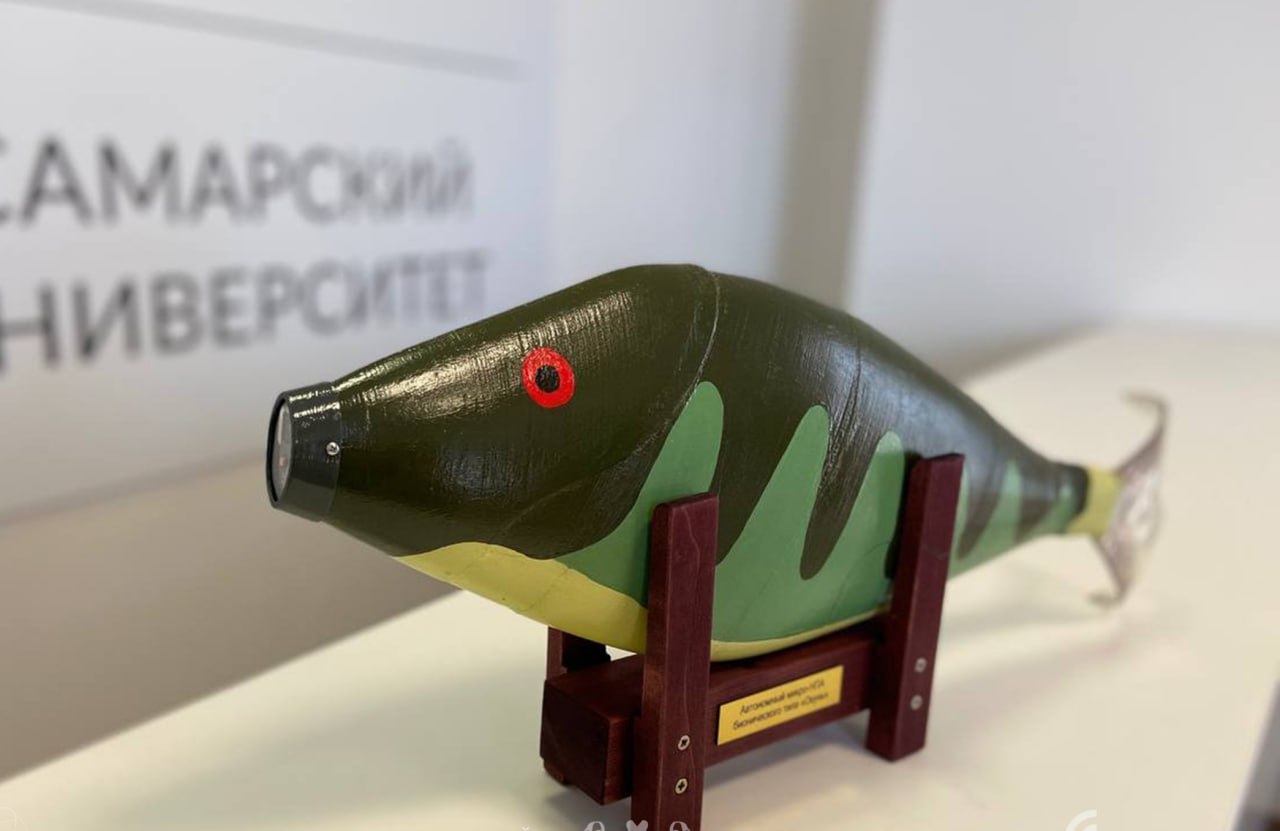 Самарские учёные усовершенствовали робота окуня для подводной разведки Инженеры робототехники Самарского университета им Королева выводят на новый уровень своего бионического подводного дрона Первая версия робота созданная в 2023 году была лишь демонстрацией технологии а новая модель это шаг к практическому применению О том что такое Окунь и как его используют в нашем материале пресс служба Самарского университета им Королева