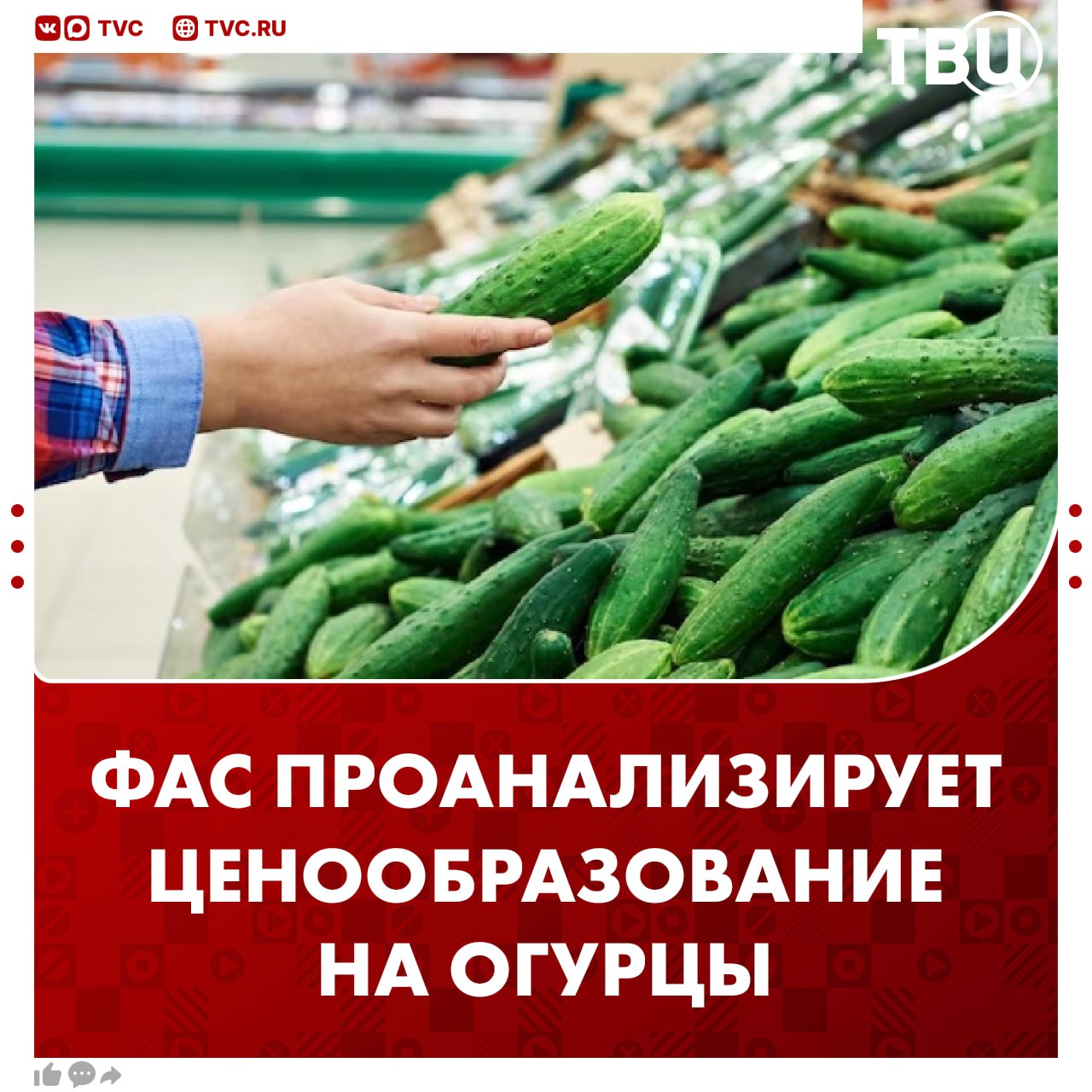 ФАС возьмет на контроль повышение цен на огурцы Служба проанализирует ценообразование на овощ за последние три месяца Соответствующие запросы направлены в несколько торговых сетей Группы компаний Х5 Магнит Дикси Ашан О Кей Лента Метро Монетка Глобус Верный Мария Ра и Азбука вкуса В случае нарушений ФАС России примет меры антимонопольного реагирования Подписаться на ТВЦ в MAX