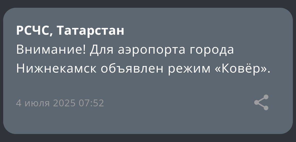 Для аэропорта Нижнекамска также объявили режим «Ковер» — МЧС Подписаться на «Вечерку»