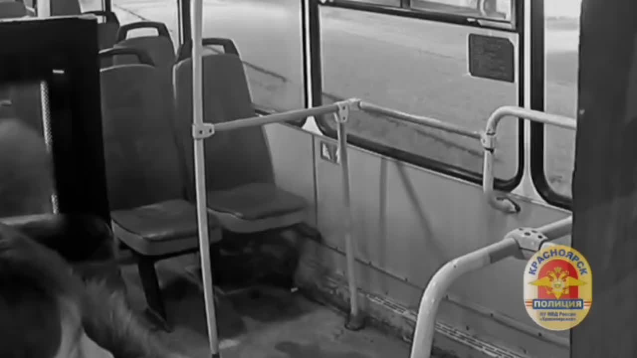 Задержание хулиганов в Волгореченске и Сосновоборске: два случая агрессии на фоне алкогольного опьянения
