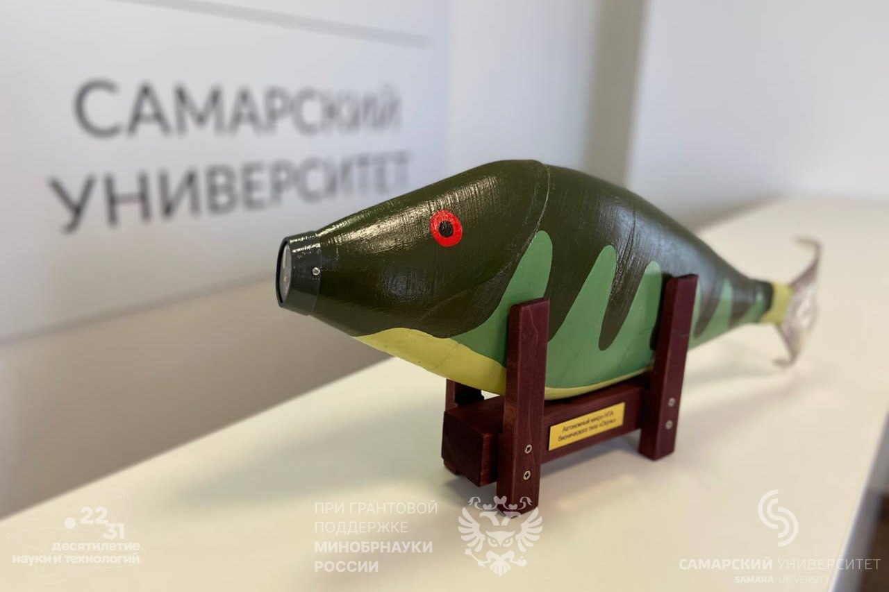 Самарский робот окунь получил зоркие глаза и стал более скрытным Инженеры Самарского университета им Королёва модернизировали бионического подводного робота Аппарат имитирующий настоящую рыбу стал умнее зорче и получил увеличенный радиус действия для более эффективного мониторинга под водой и на поверхности В отличие от первого варианта изготовленного в 2023 году новая версия получит улучшенную систему управления более качественную видеокамеру и мощный радиопередатчик Это примерно вдвое увеличит радиус действия и улучшит возможности подводного и надводного мониторинга При этом внешне робот длиной почти 1 метр сохранит вид морского окуня движущегося в воде с помощью хвостового плавника   volga news article 763809 html Фото предоставлено Самарским университетом