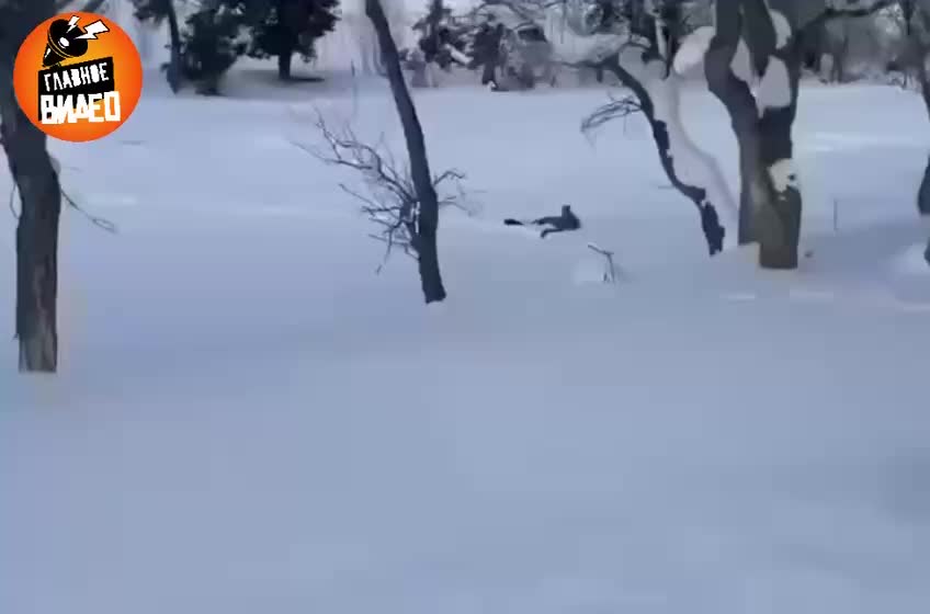 Снежный барс напал на лыжника и туристку в Синьцзяне