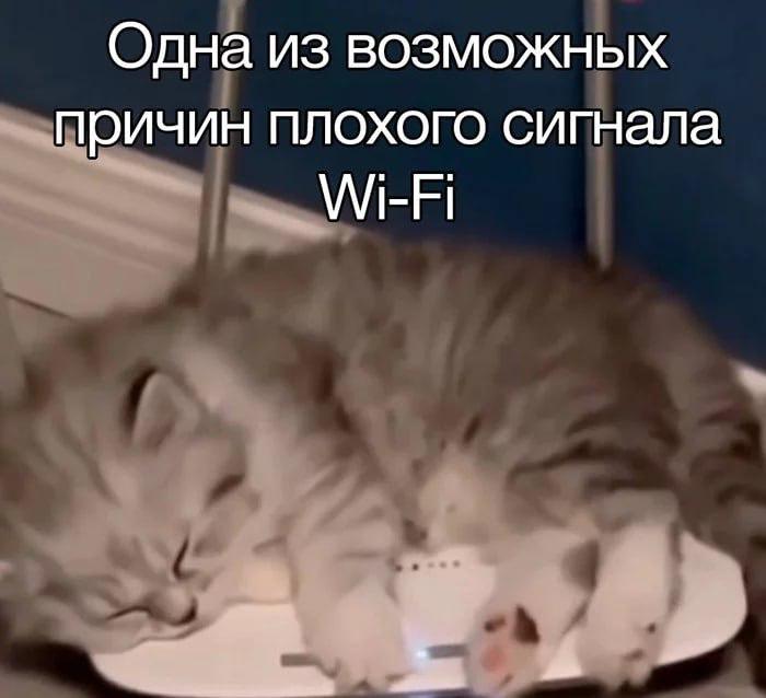 В Ростове и Таганроге тестируют бесплатный Wi Fi в транспорте В Ростовской области стартовал пилотный проект по предоставлению бесплатного Wi Fi на объектах транспортной инфраструктуры Об этом сообщила министр транспорта Ростовской области Алена Беликова Первые точки подключения уже доступны на привокзальной площади Ростова на железнодорожной станции Ростов Главный на остановке автобуса 3 Тестирование также проходит в Таганроге Устройства автоматически переподключаются при переходе между зонами покрытия например с вокзала на электробус или электричку без необходимости повторного ввода данных В настоящее время проект находится в стадии тестирования Если он будет успешно реализован власти региона планируют расширить его на весь общественный транспорт enter rostov