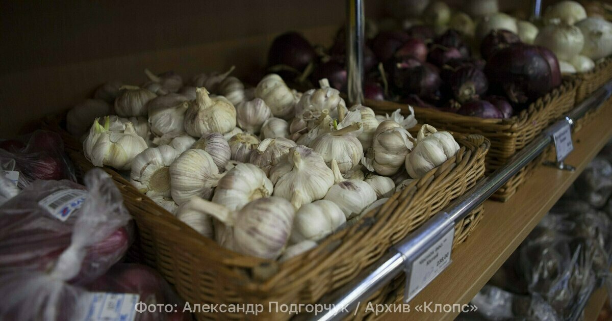 Врач назвала продукты которые влияют на запах пота Красное мясо чеснок лук капуста редис и специи карри могут придавать запаху пота неприятный аромат из за содержания в этих продуктах серы аминокислот и других веществ Некоторые продукты питания могут провоцировать неприятный запах тела из за содержания серы аминокислот или веществ которые выводятся через пот Это красное мясо чеснок лук капуста редис и специи вроде карри Редис редька и продукты с клетчаткой отруби злаки провоцируют газы влияющие на пот при переедании рассказала врач гастроэнтеролог Ольга Чистик По словам медика красное мясо медленно переваривается выделяя специфические аминокислоты что приводит к стойкому аромату на несколько часов или недель Чеснок лук карри и капуста содержат серу газы от которой проникают через кожу усиливая запах на несколько дней