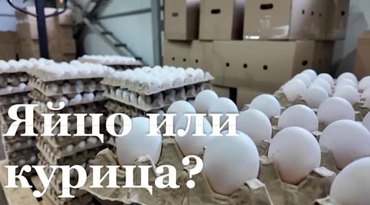 Птицефабрика 'АВИС' завершила строительство нового цеха и внедрила автоматизированную линию для увеличения производства яиц