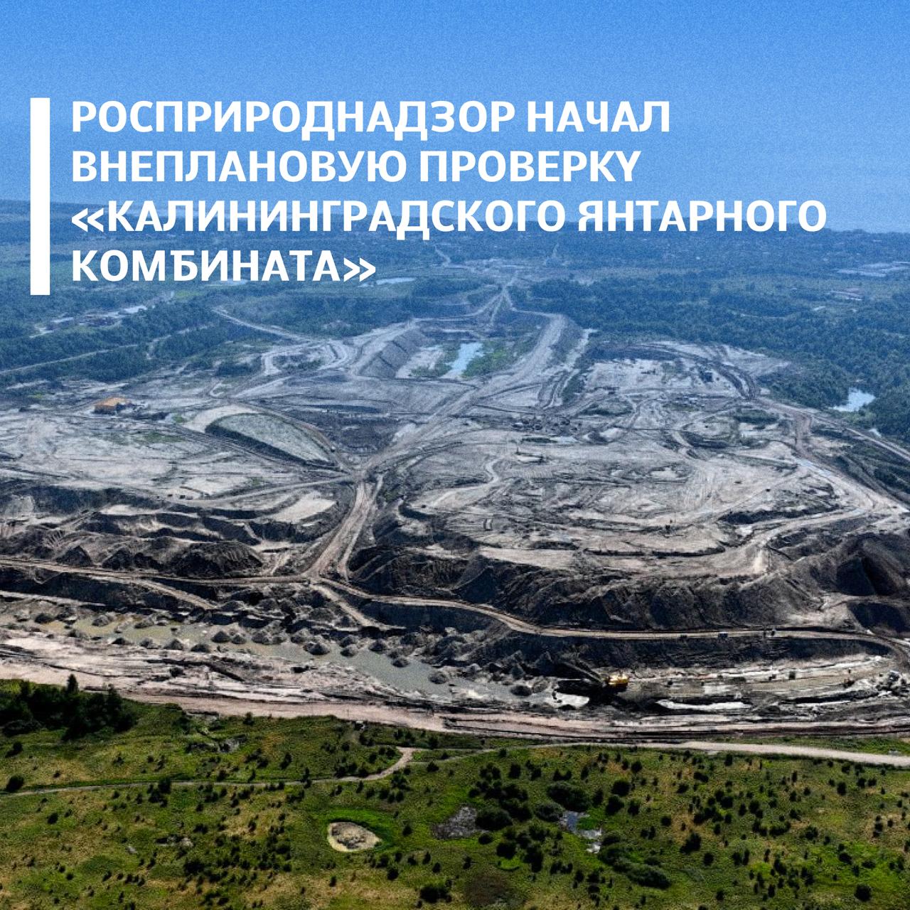 Северо Западное межрегиональное управление Росприроднадзора начало внеплановую проверку АО Калининградский янтарный комбинат Поводом стала информация о возможном размещении отходов на берегу Балтийского моря в поселке Янтарный Проверка согласована с прокуратурой Во время выездного обследования инспекторы зафиксировали что отходы производства и потребления находятся на береговой линии за пределами официального хвостохранилища предприятия Из за воздействия воды происходит размыв террикона и часть отходов попадает в море Кроме того в момент осмотра была зафиксирована работа техники перемещающей массы с берега в водный объект  Такая ситуация создает риски для окружающей среды и может говорить о нарушении требований по охране земель и водных объектов В ходе проверки инспекторы оценят действия предприятия и проверят соблюдение природоохранного законодательства По итогам проверки будут приняты меры в рамках полномочий Росприроднадзора Ситуация находится на контроле Подписывайтесь на Росприроднадзор в МАХ
