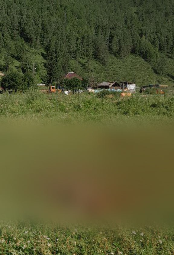 Навели на медведя напраслину А он не виноват в гибели жеребенка на въезде в село Беренжак, о чем ранее сообщали местные СМИ Как уточняет сегодня газета «Ширинский вестник», ссылаясь на инспектора охотнадзора, в ночь с 24 на 25 июля жеребенка рядом с Беренжаком загрыз не медведь, а волчица. Впрочем, от такого уточнения местным жить там явно не стало веселее. Вести. Хакасия Подписаться