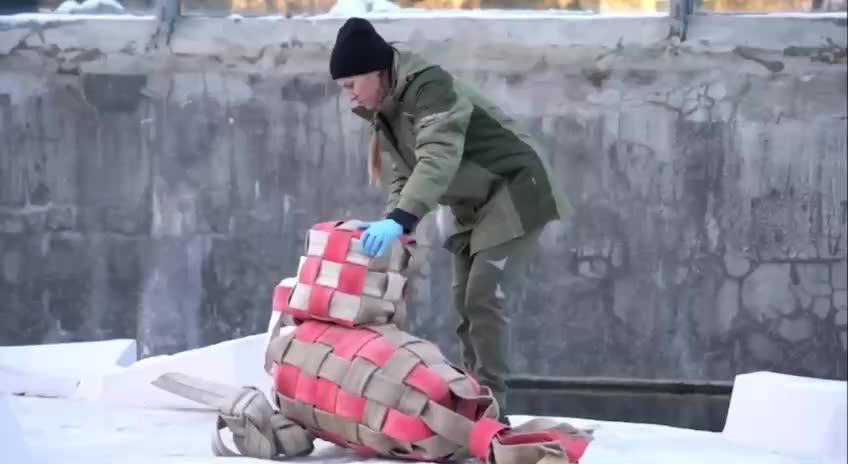 Зоопарки Москвы и Ленинграда отмечают дни рождения медведиц Айки и Хаарчааны