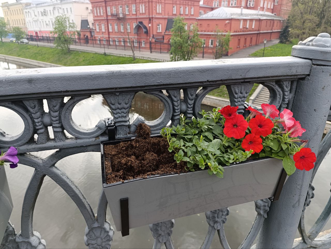 На Первомай орловцы украли цветы с Александровского моста Недавно появившиеся на Александровском мосту цветы уже украли орловцы. Об этом сообщили в Спецавтобазе. ↗ Прислать новость Подписаться