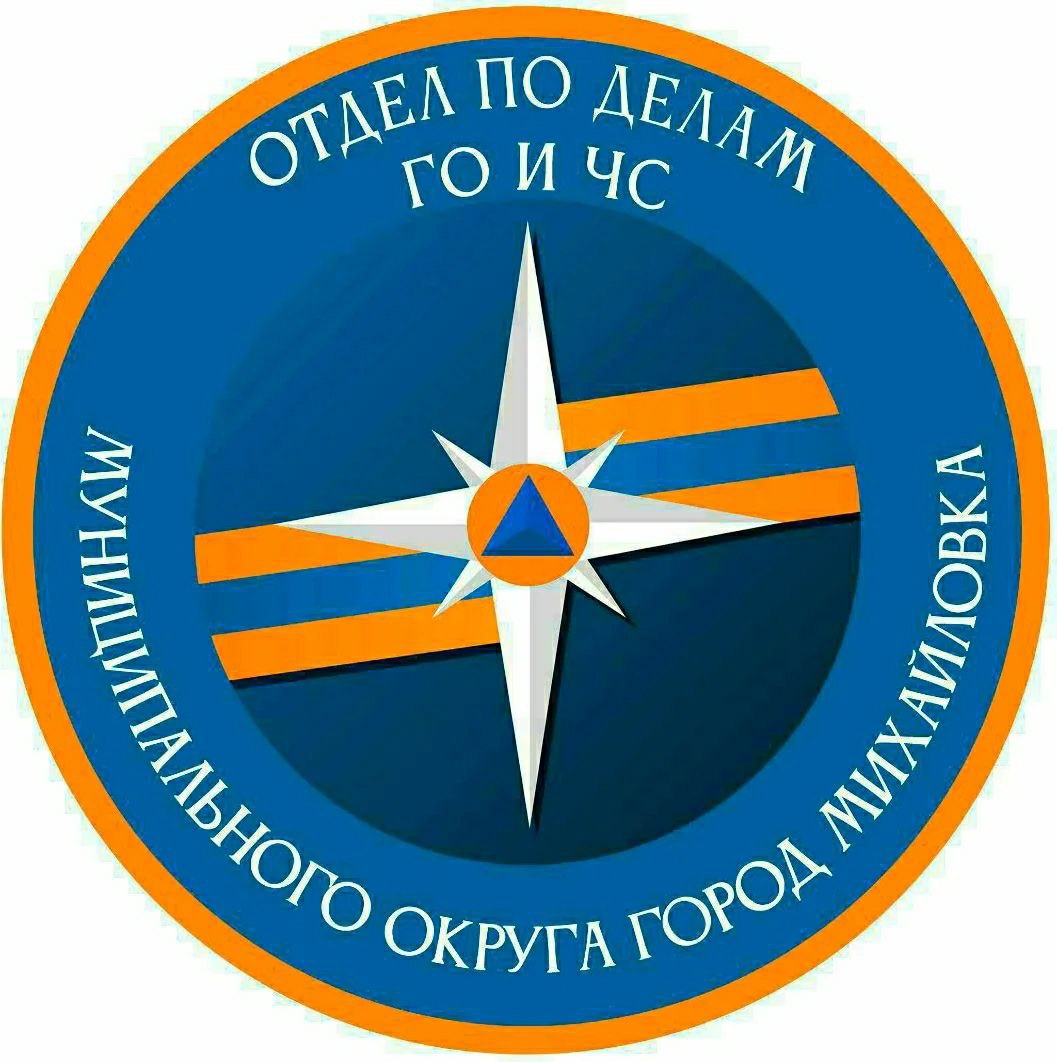 В 00 53 22 декабря 2025 г в экстренные оперативные службы города поступила информация о возгорании дома в г Михайловка пер Эстонский размером 10х10 м по всей площади В результате пожара пострадало четыре человека в том числе двое детей погиб один ребёнок 2021 г р Пострадавшие доставлены в больницы города На месте пожара работало 14 ед техники и 31 человек в том числе от МЧС России 2 ед техники и 8 человек Причину пожара установят сотрудники испытательной пожарной лаборатории г Волгограда