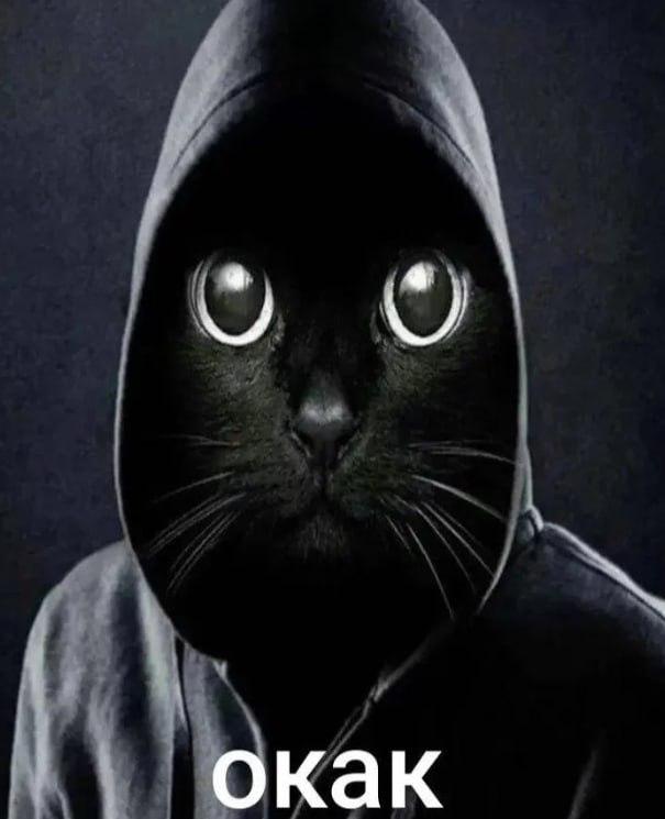 Сервис LiveDune изучил 64 млн комментариев в соцсетях и назвал самые популярные сленговые слова 2025 года Лидером стало слово бот которое пользователи использовали почти 150 тысяч раз А мемное ОКАК заняло одно из ключевых мест среди новых выражений и почти вошло в топ 10 entermedia io news slovo bot stalo glavnym slengovym slovom 2025 goda