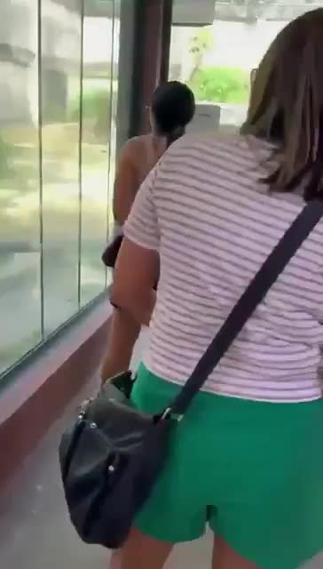 Львица в зоопарке Бразилии напала на мужчину, залезшего в вольер