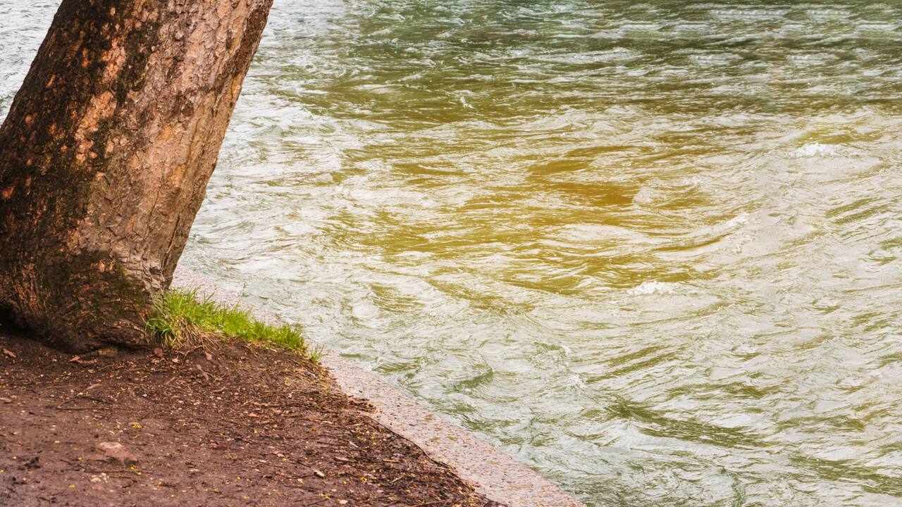 В Запорожской области в рамках федерального проекта «Вода России» очистят участки реки Юшанлы  «По-прежнему в зоне особого внимания будут новые регионы. В федеральный проект „Вода России“ включено комплексное оздоровление водоемов на территории всех четырех субъектов. Это расчистка участков рек Грузская и Кальчик в Донецкой Народной Республике, рек Большая Каменка и Ольховая на территории Луганской Народной Республики; оздоровление участков реки Юшанлы в Запорожской и Ингулец — в Херсонской областях. Уже в текущем году начнем реализацию мероприятий по расчистке в рамках федпроекта в ДНР и ЛНР, а также продолжим реконструкцию гидроузла Елизаветинского водохранилища — важнейшего источника питьевого водоснабжения для жителей Луганской Народной Республики»,  — пояснил руководитель Росводресурсов Дмитрий Кириллов.    В целом на реализацию мероприятий федерального проекта по линии Росводресурсов за счет средств федерального бюджета предусмотрено 112,6 млрд рублей. Комплексное оздоровление водоемов пройдет в 54 регионах. Работы предполагают очистку мелководий, удаление древесного хлама, мусора и излишней растительности.     , VK и ОК и читайте новости на нашем сайте