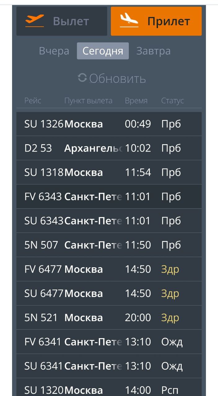 Снегопад в Москве вносит коррективы в расписание аэропортов