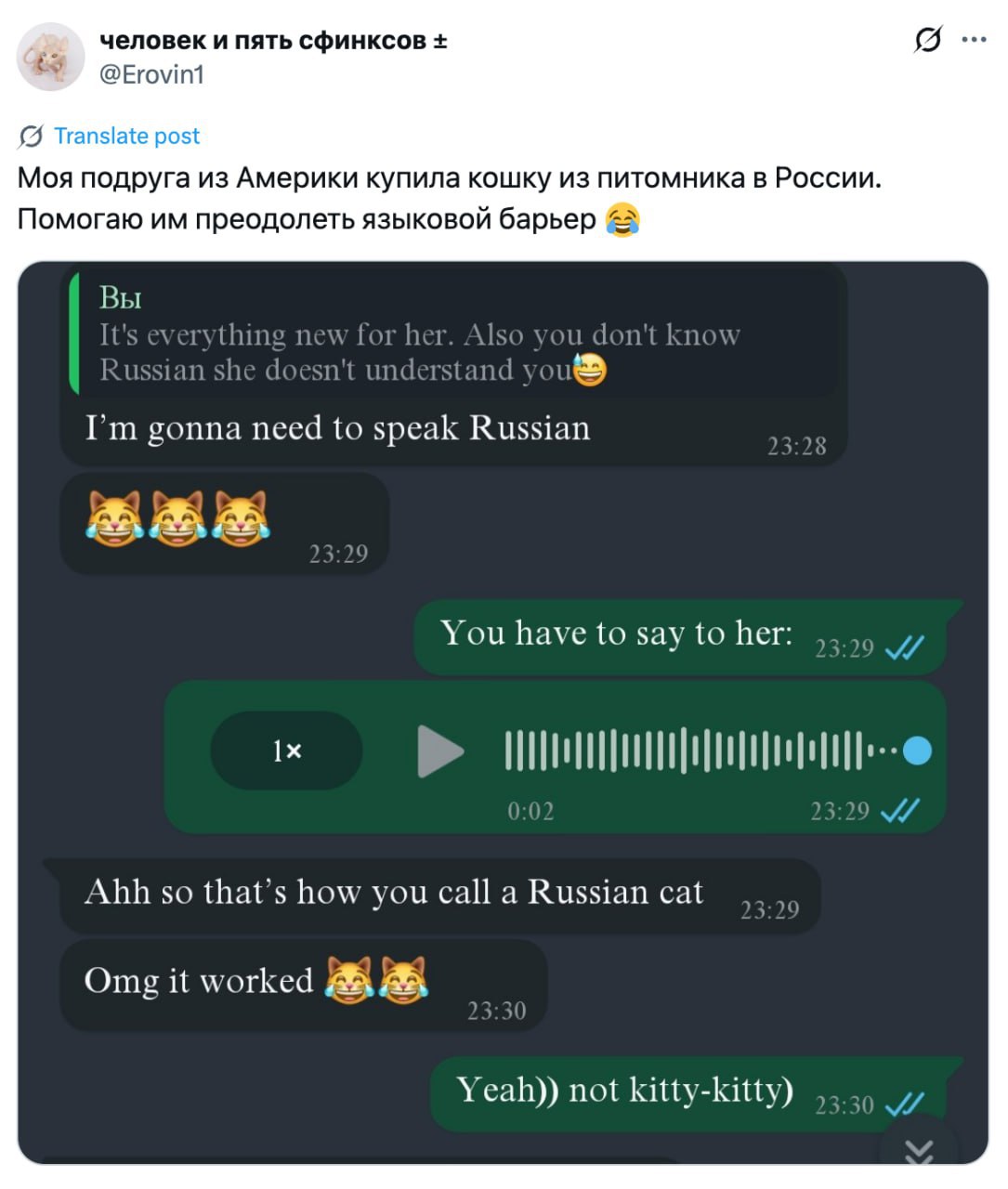 Забавный случай: жительница США завела кошку из России — и удивилась, что на «kitty-kitty» та не реагирует.  Оказалось, животное откликается только на привычное «кс-кс»    Теперь подруги помогают хозяйке освоить базовый русский для общения с питомицей.    media