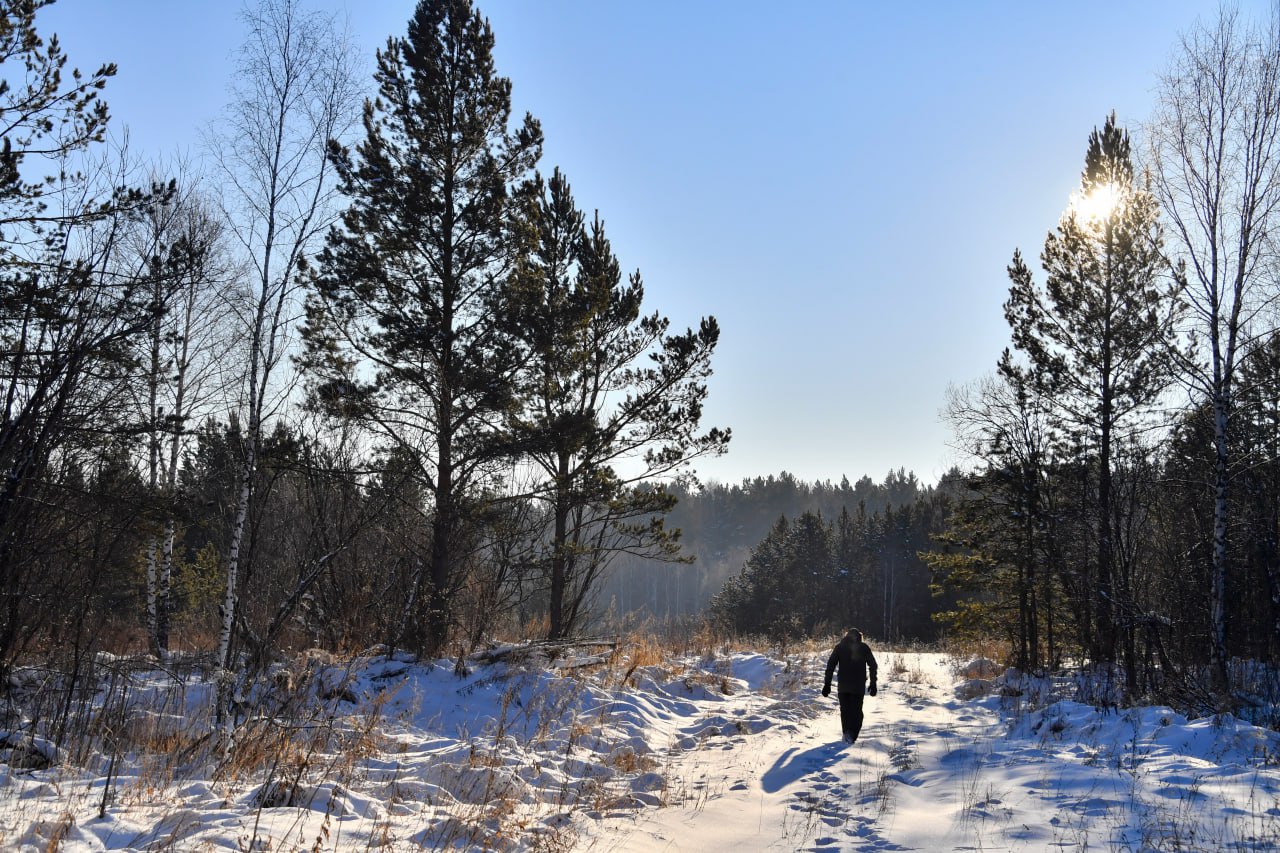 В Якутии спасатели ищут пропавшего охотника в 30 градусный мороз В Верхневилюйском районе Якутии продолжаются поиски пожилого охотника который не вернулся домой 73 летний мужчина ушел на охоту 25 октября из села Туобуя Он отправился в угодье Кыыс Кюель которое находится примерно в 20 километрах от села верхом на лошади и с двумя собаками Связи в той местности нет Когда охотник не вернулся в назначенный день односельчане начали его искать 4 ноября они добрались до охотничьего домика где нашли ружье мужчины и одну из собак которая была на привязи Следов самого охотника его лошади и второй собаки обнаружить не удалось 5 ноября к поискам подключились профессиональные спасатели В район выехала группа из трех человек на одном снегоходе Утром 6 ноября они прибыли на место поисков Поиски осложняются суровыми условиями Село Туобуя находится в 300 километрах от районного центра и считается одним из самых труднодоступных населенных пунктов района Утром 6 ноября в этих местах стоял 30 градусный мороз что делает операцию по спасению особенно срочной Фото Макеев Иван