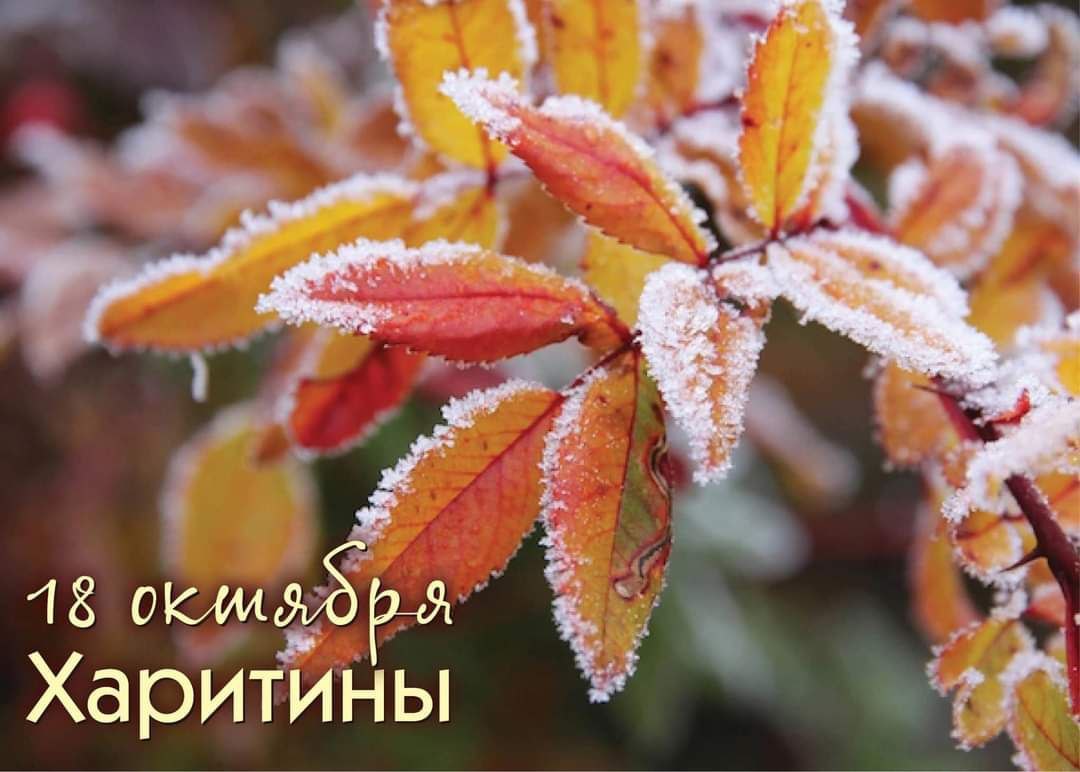 Народный календарь 18 октября Харитины первые холстины В полях на огородах все дела уже закончены начинаются длинные зимние вечера которые в деревнях посвящали ткачеству шитью прядению Начинали валять валенки Считалось что в этот день любая работа с нитью с пряжей благотворна Ну и погоду как всегда примечать не забываем если на сухую землю снег лег значит сойдет скоро а вот если на мокрую надолго останется