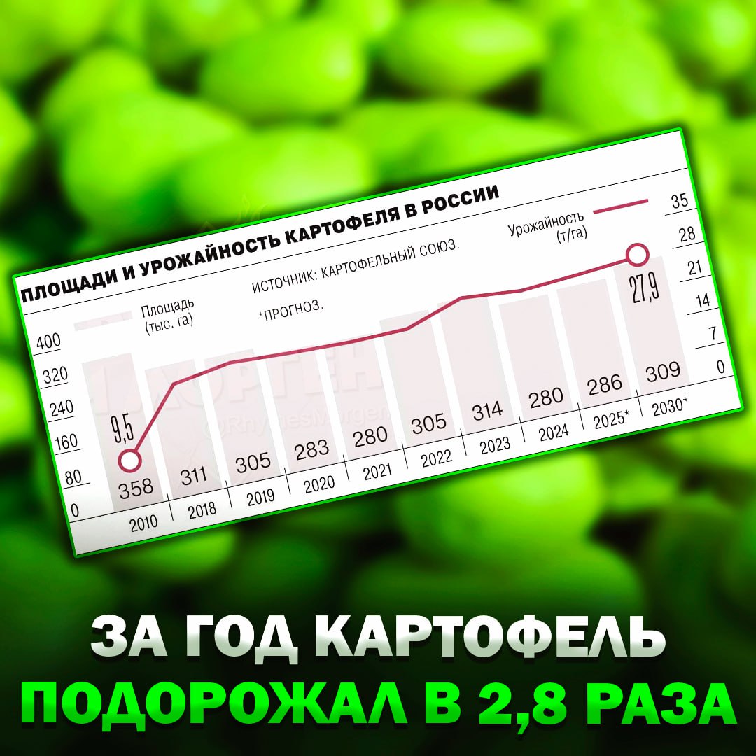 За год картофель подорожал в 2,8 раза, — следует из данных Росстата Дефицит российского продукта и завоз импортного подстегнули цены не только в магазинах, но и для переработчиков. — это пздц — вот куда вкладываться нужно было, а не в ваши Биткоины Рифмы и Морген