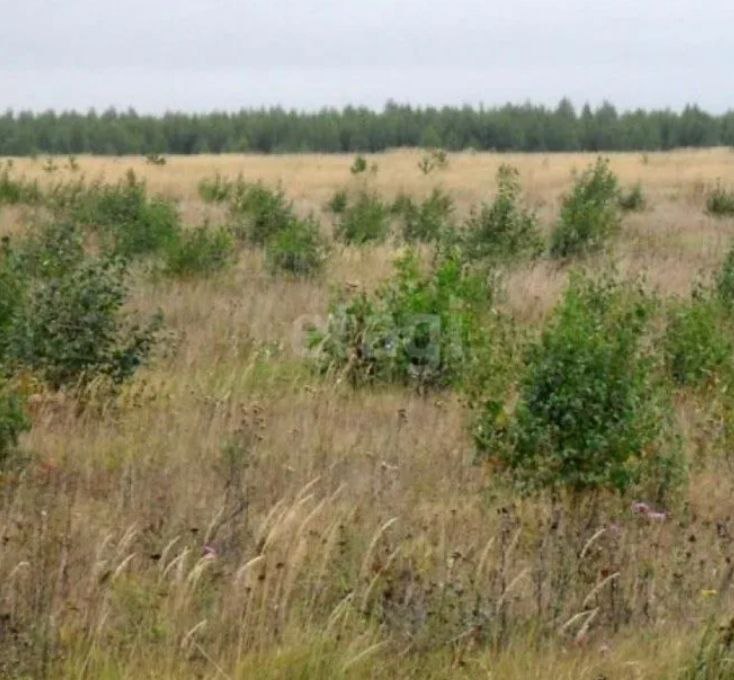Россельхознадзор привлёк к административной ответственности нерадивого владельца сельхозземель в Зеленоградском муниципальном округе Калининградской области, допустившего зарастание своего участка кустарником. Это возымело действие: нарушения устранены, в сельхозоборот возвращены свыше 11 га земли.