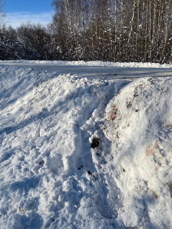 Животные погибли не от отравления в профильном министерстве прокомментировали сообщения о гибели косулей в Топкинском округе якобы от дорожных реагентов Животные были обследованы охотинспектором Выявлено что погибли они из за дорожно транспортного происшествия сообщила Вести Кузбасс пресс секретарь министерства лесного комплекса и охотничьего хозяйства Кузбасса Татьяна Ярцева Написать  Telegram MAX