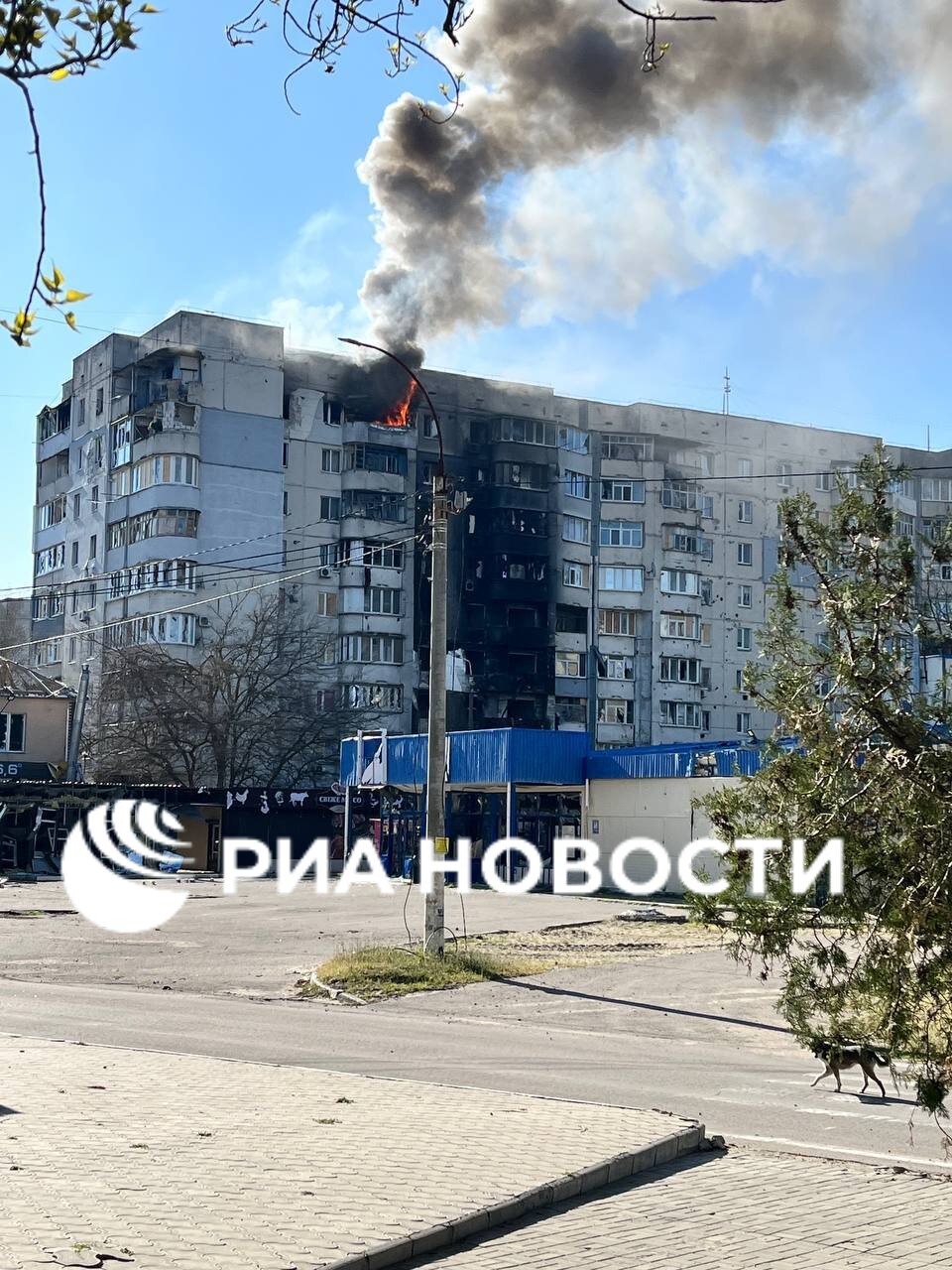Дрон ВСУ атаковал 9-этажный дом в Алешках Херсонской области, предварительно, пострадавших нет, сообщил РИА Новости пресс-секретарь губернатора региона