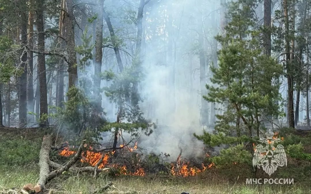 Режим ЧС ввели в Кантемировском районе из-за пожаров на полях. В администрации района прошло заседание по предупреждению и ликвидации чрезвычайных ситуаций, связанное с большим ущербом, нанесенным пожарами на пшеничных полях сельхозпредприятий. Возгорания произошли 10 и 11 июля. По результатам заседания с 18.00 субботы, 12 июля, введут режим чрезвычайной ситуации муниципального характера.