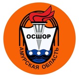 ГАУ ДО Амурская областная спортивная школа
