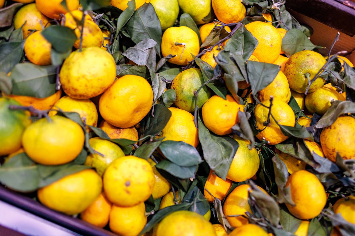 В Челябинск не пустили более 37 тонн китайских цитрусовых На российско казахстанском участке границы в Челябинской области пресечена попытка ввоза крупной партии фруктов с нарушениями Сотрудники Уральского межрегионального управления Россельхознадзора совместно с пограничной службой и таможней запретили въезд двум грузовикам с цитрусовыми из Китая По сведениям пресс службы ведомства 29 декабря в пункте пропуска Бугристое была остановлена машина перевозившая 17 7 тонн мандаринов и 1 3 тонны китайских апельсинов из Алматы Причиной отказа во ввозе стало несоответствие данных на упаковке продукция была предназначена для Самарской области а в сопроводительных документах указан Екатеринбург 30 декабря по аналогичной причине был задержан ещё один груз с 18 тоннами апельсинов Согласно фитосанитарным правилам информация на маркировке обязана полностью совпадать с данными в фитосанитарном сертификате и товарных документах Водители транспортных средств привлечены к административной ответственности по статье 10 2 КоАП РФ за нарушение порядка ввоза подкарантинной продукции Обе машины с фруктами под контролем инспекторов возвращены на территорию Казахстана Общий вес запрещённой к ввозу партии цитрусовых составил более 37 тонн eugenejut